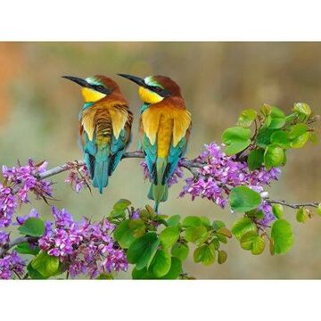 Outdoor-Leinwand Bienenfresser 78 cm