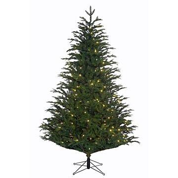 Weihnachtsbaum Frasier LED grün 365 cm - Black Box