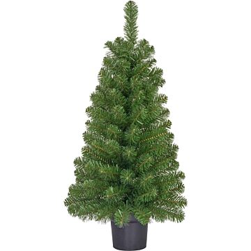 Weihnachtsbaum Norton potted grün 90 cm - Black Box
