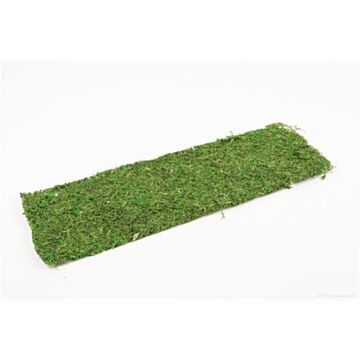 Sheet Asia Moss L58.0W18.0