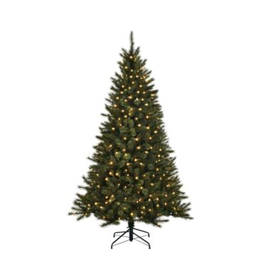 Weihnachtsbaum Toronto LED 240 grün 215 cm - Black Box