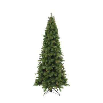 Weihnachtsbaum Pencil Pine grün 245 cm - Triumph Tree