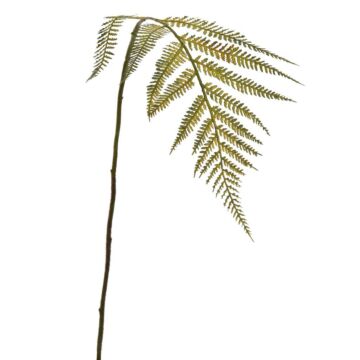 Farnzweig grün L 81 cm