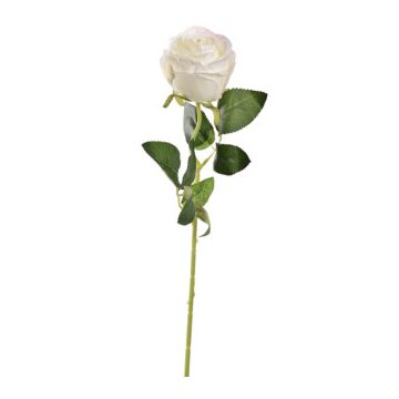 Rose single creme 50 cm