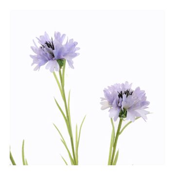 Kornblume flieder 66 cm