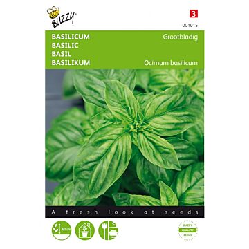 Buzzy® Basilicum Grootbladig
