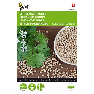 Koriander Zitrone niedrig – Buzzy