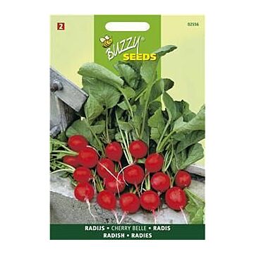 Buzzy® Radies Cherry Belle