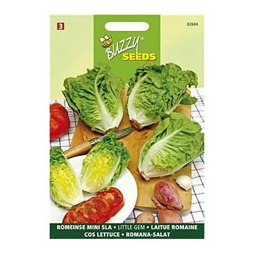 Buzzy® Salat Little Gem