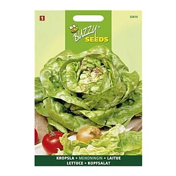 Buzzy® Kopfsalat Maikönig