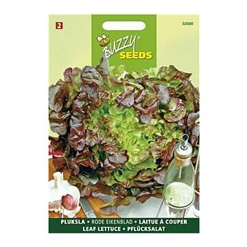 Buzzy® Pflücksalat Red Salad Bowl, Eichenblatt rot