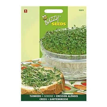 Buzzy® Gartenkresse Einfach
