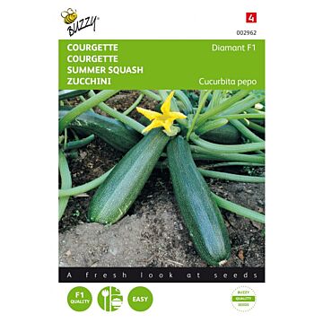 Buzzy® Courgette Diamant F1