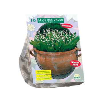 Convallaria Majalis (NJ) pro 10