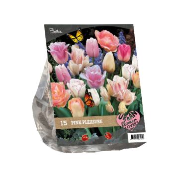 Urban Flowers - Pink Pleasure per 15 Urban Flowers - Pink Pleasure per 15