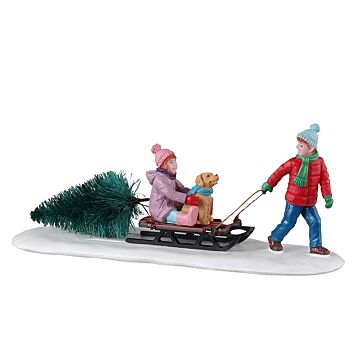 Lemax Bringing Home Our Tree