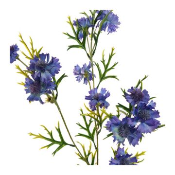 Kornblume blau 71 cm