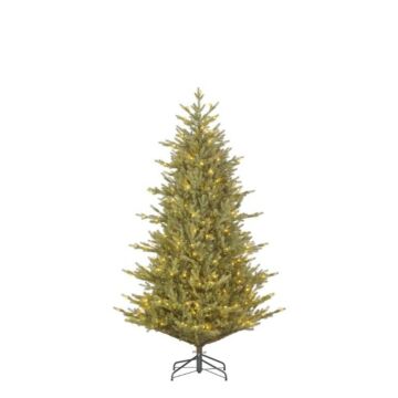 Weihnachtsbaum Meran 264LED grün 185 cm – Black Box