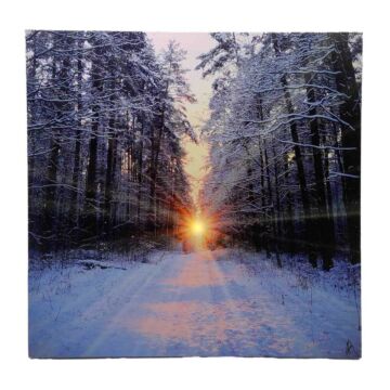 LED-Leinwand Sonne im Wald 40 cm