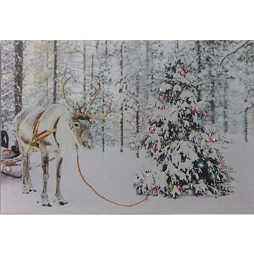 LED-Leinwand Elch mit Baum 60 cm
