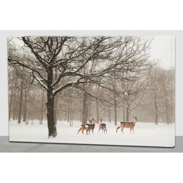 LED-Leinwand Hirschherde 60 cm
