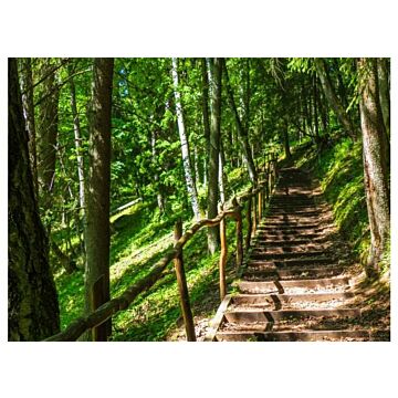 Outdoor-Leinwand holztreppe L 58 cm