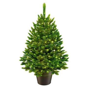Weihnachtsbaum Premium im Topf mit LED 80 cm - ArtiTree Weihnachtsbaum Premium im Topf mit LED 80 cm - ArtiTree