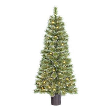 Weihnachtsbaum Glendon 60LED grün 120 cm - Black Box