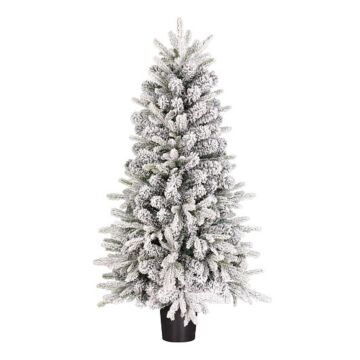 Weihnachtsbaum Grimshaw frosted grün 120 cm - Black Box