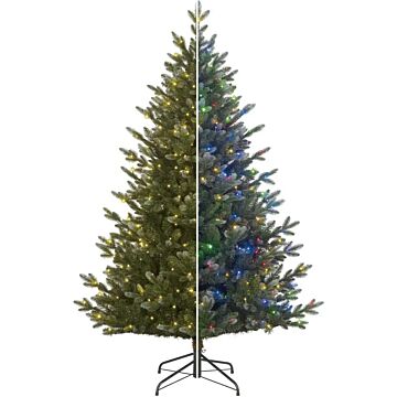 Weihnachtsbaum Burton multi 590LED blauwgrün 230 cm - Black Box