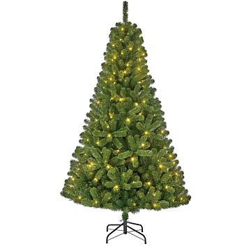 Weihnachtsbaum Charlton outdoor 360LED 215 cm - Black Box