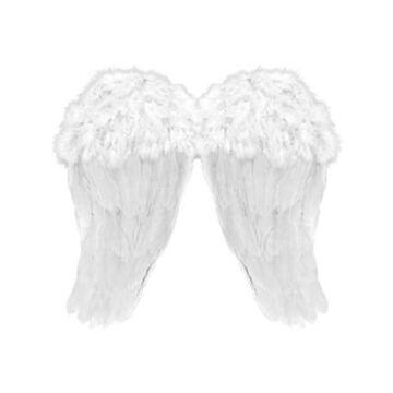 Engelsflügel weiß 48 x 46 cm