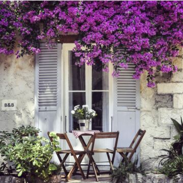 Außenleinwand Terrasse lila Blume 78 cm Außenleinwand Terrasse lila Blume 78 cm