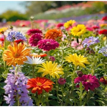 Außenleinwand Blumenfeld 78 cm