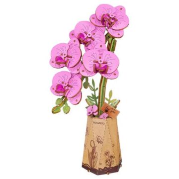 Bausatz Purple Moth Orchid - Robotime