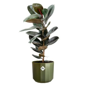 Blumentopf Facet waldgrün - Elho