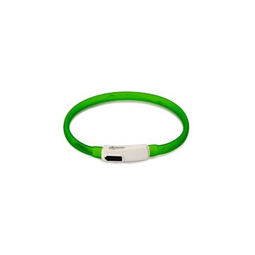 Leuchtkragen + USB grün - BEEZTEES