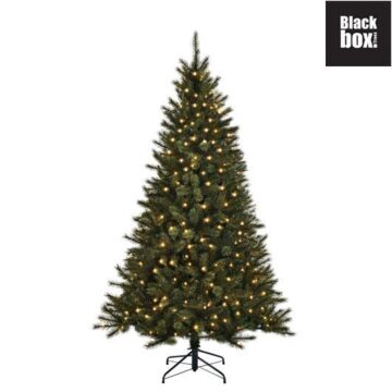 Weihnachtsbaum Toronto LED grün - Black Box