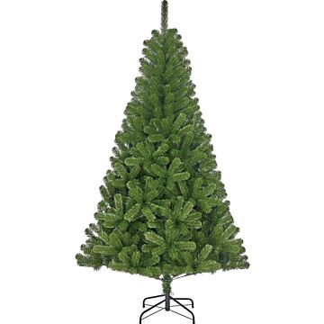 Weihnachtsbaum Charlton grün - Black Box