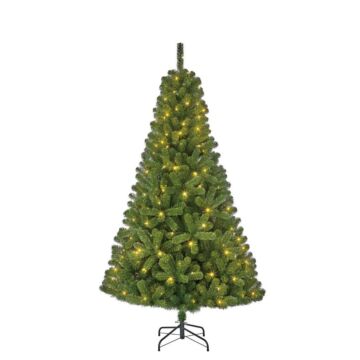 Weihnachtsbaum Charlton LED grün - Black Box