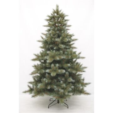 Weihnachtsbaum Wyoming blau - Triumph Tree
