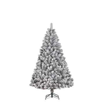 Weihnachtsbaum Charlton grün frosted - Black Box