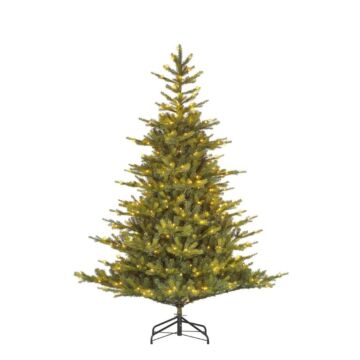 Weihnachtsbaum Grimshaw LED grün - Black Box