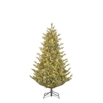 Weihnachtsbaum Delmar LED grün - Black Box