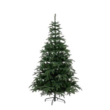 Weihnachtsbaum Picton grün - Black Box