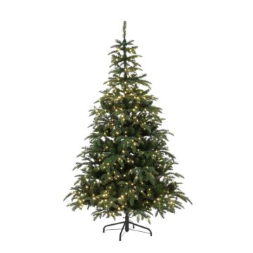Weihnachtsbaum Picton LED grün - Black Box