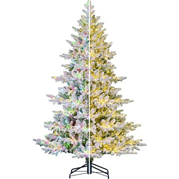 Weihnachtsbaum Yunnan gefrostet LED grün - Black Box