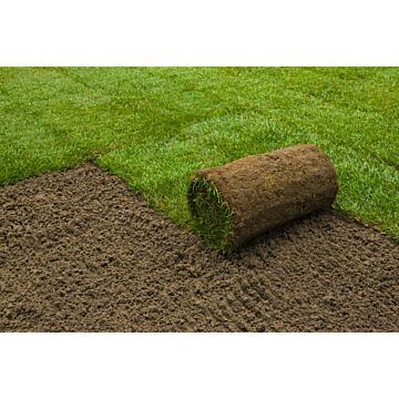 Sport- und Spielrasen 