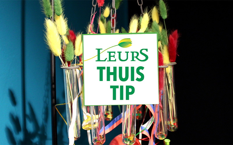  Leurs Tipp für Zuhause: Karnevals-Workshop