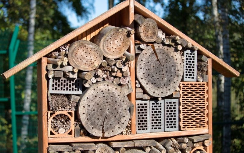 Alles, was du über ein Insektenhotel in deinem Garten wissen musst